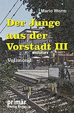 Mario Worm Der Junge aus der Vorstadt III обложка книги