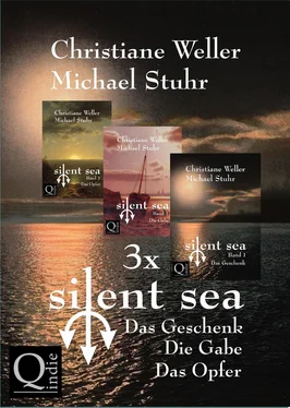 Christiane Weller / Michael Stuhr Gesamtausgabe der silent sea-Trilogie обложка книги