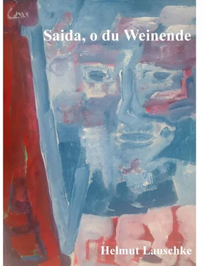 Helmut Lauschke Saida, o du Weinende обложка книги