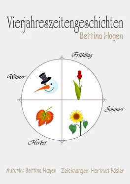 Bettina Hagen Vierjahreszeitengeschichten обложка книги