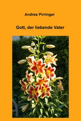 Andrea Pirringer - Gott, der liebende Vater