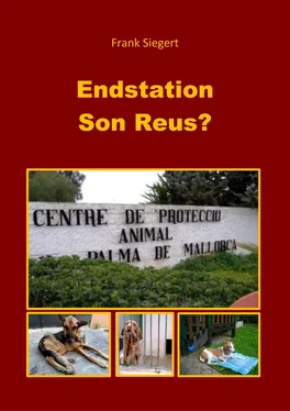 Frank Siegert Endstation Son Reus? обложка книги