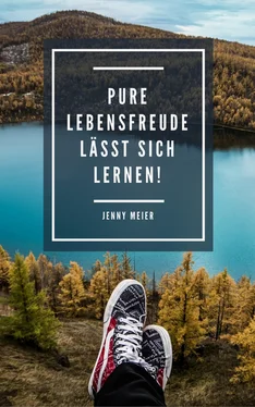 Jenny Meier Pure Lebensfreude lässt sich lernen! обложка книги