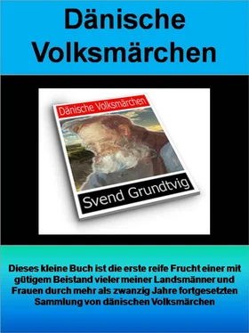 Svend Hersleb Grundtvig Dänische Volksmärchen - 299 Seiten обложка книги