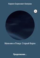 Кирилл Килунин - Мальчик и Птица - Старый Ворон. Продолжение