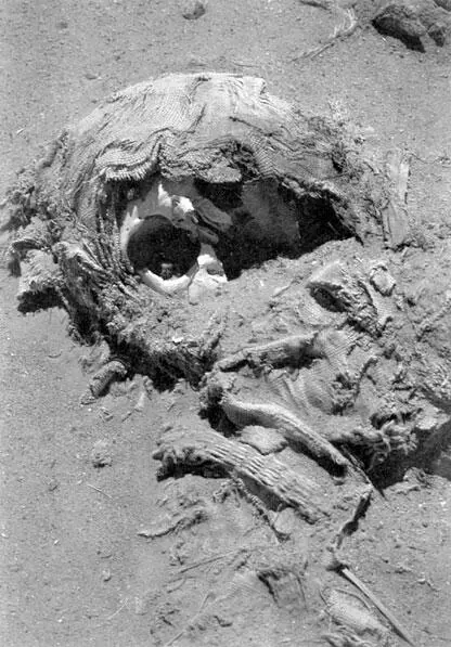Остатки скелета обнаженные ветром пустыни Пирамиды в Нури Мероэ 656295 - фото 71