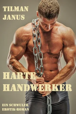 Tilman Janus Harte Handwerker обложка книги