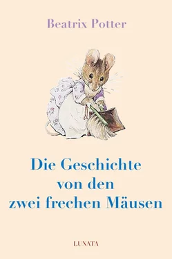 Beatrix Potter Die Geschichte von den zwei frechen Mäusen обложка книги