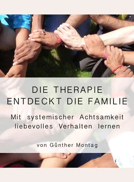 Dr. med. Günther Montag Die Therapie entdeckt die Familie обложка книги