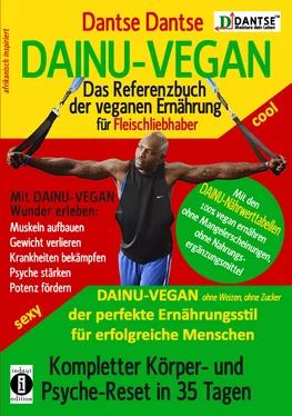 Dantse Dantse DAINU-VEGAN обложка книги