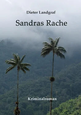 Dieter Landgraf Sandras Rache обложка книги