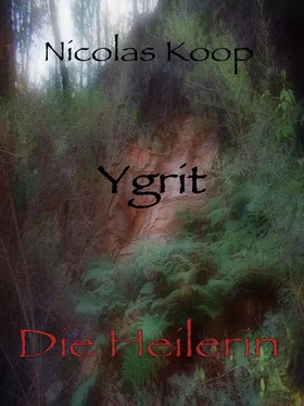 Nicolas Koop Ygrit обложка книги