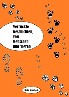 Mirko Krumbach Verrückte Geschichten,von Menschen und Tieren обложка книги