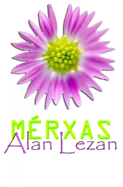 Alan Lezan Merxas обложка книги