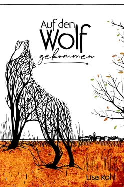 Lisa Kohl Auf den Wolf gekommen обложка книги