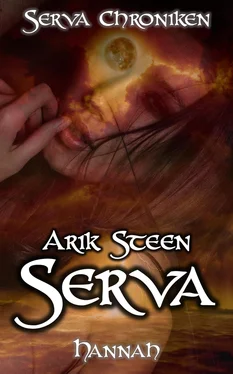 Arik Steen Serva Chroniken III обложка книги