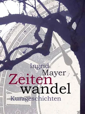 Ingrid Mayer Zeitenwandel обложка книги