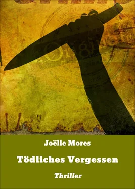 Joëlle Mores Tödliches Vergessen обложка книги