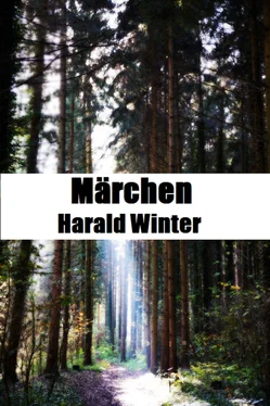 Harald Winter Märchen обложка книги