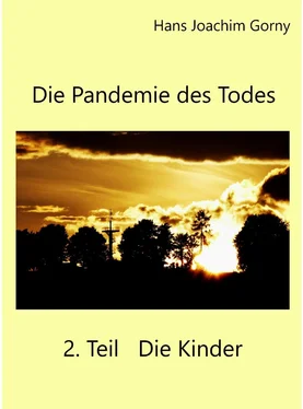 Hans Joachim Gorny Die Pandemie des Todes 2.Teil Die Kinder обложка книги