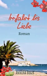 Annina Boger - Irrfahrt bis Liebe