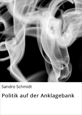 Sandro Schmidt Politik auf der Anklagebank обложка книги