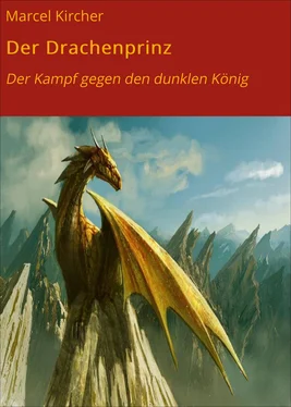 Marcel Kircher Der Drachenprinz обложка книги