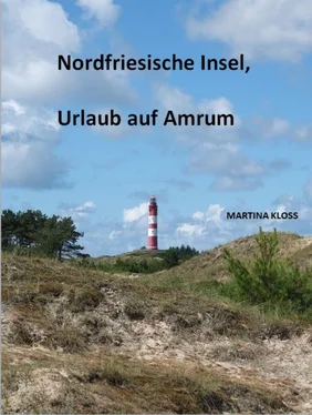 Martina Kloss Nordfriesische Insel, Urlaub auf Amrum обложка книги