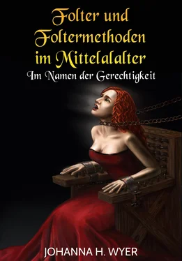 Johanna H. Wyer Folter und Foltermethoden im Mittelalter обложка книги