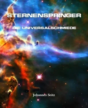 Johannes Seitz Sternenspringer обложка книги
