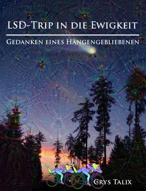 Crys Talix LSD-Trip in die Ewigkeit - Gedanken eines Hängengebliebenen обложка книги