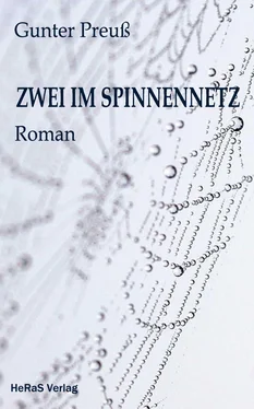 Gunter Preuß Zwei im Spinnennetz обложка книги
