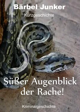 Bärbel Junker Süßer Augenblick der Rache! обложка книги