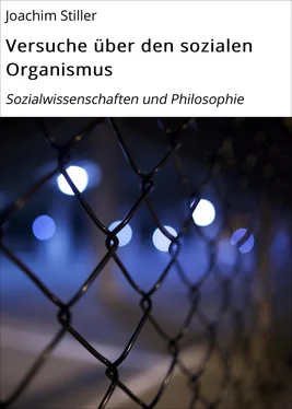 Joachim Stiller Versuche über den sozialen Organismus обложка книги