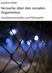 Joachim Stiller - Versuche über den sozialen Organismus