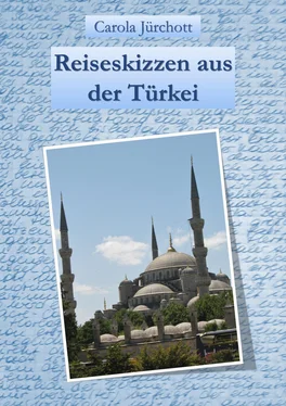 Carola Jürchott Reiseskizzen aus der Türkei обложка книги