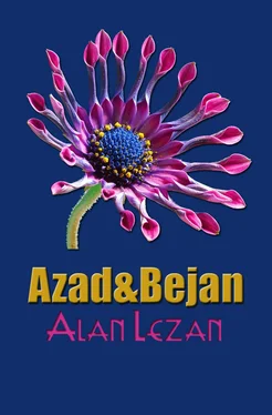 Alan Lezan Azad&Bejan обложка книги