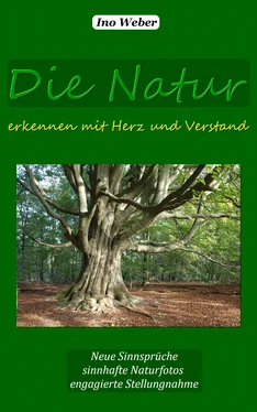 Ino Weber Die Natur erkennen mit Herz und Verstand обложка книги
