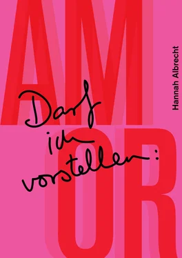 Hannah Albrecht Darf ich vorstellen: Amor обложка книги