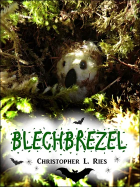 Christopher L. Ries Blechbrezel обложка книги