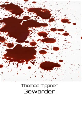 Thomas Tippner Geworden обложка книги
