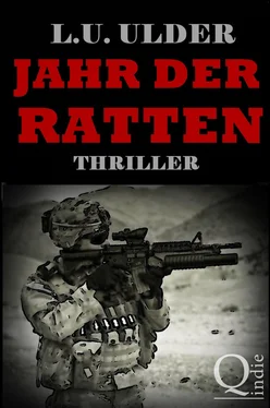 L.U. Ulder Jahr der Ratten обложка книги