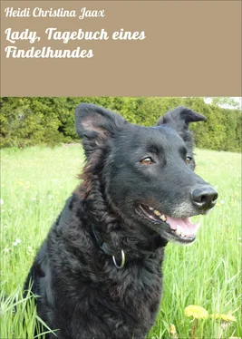 Heidi Christina Jaax Lady, Tagebuch eines Findelhundes обложка книги