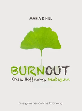 MARIA K HILL BURNOUT - Krise. Hoffnung. Neubeginn. обложка книги