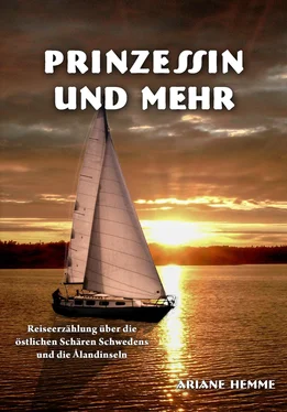 Ariane Hemme Prinzessin und Mehr обложка книги