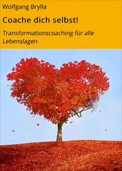 Wolfgang Brylla - Coache dich selbst!