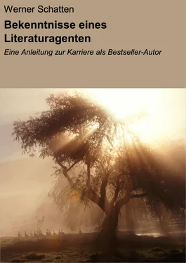 Werner Schatten Bekenntnisse eines Literaturagenten обложка книги