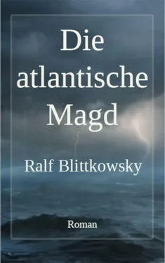 Ralf Blittkowsky Die atlantische Magd обложка книги