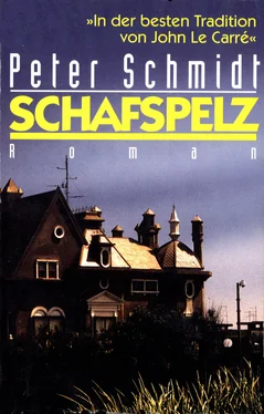Peter Schmidt Schafspelz обложка книги