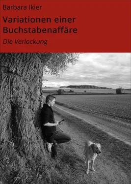 Barbara Ikier Variationen einer Buchstabenaffäre обложка книги